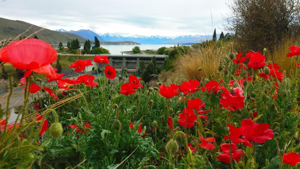 Marie Therese Apartment B&B Lake Tekapo Eksteriør billede